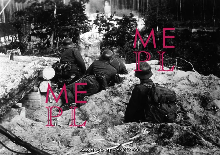 : German mountain troop on the Eastern Front, 1941 : German mountain troop on the Eastern Front, 1941