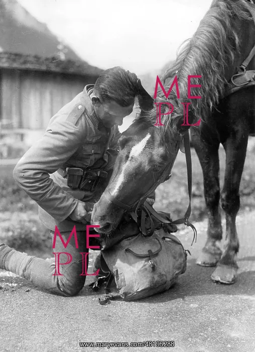 : German Mountain Trooper, 1935 : German Mountain Trooper, 1935