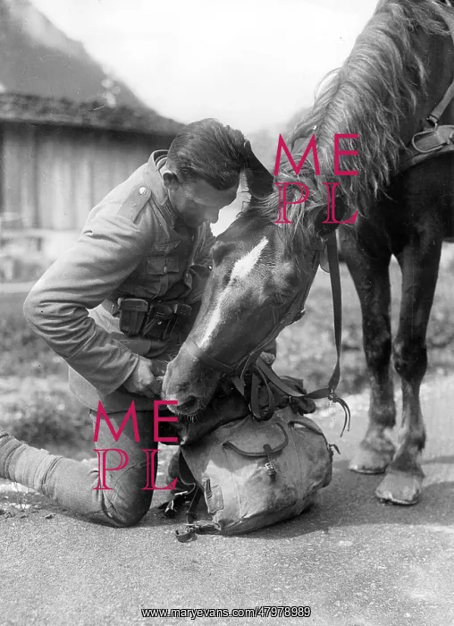 : German Mountain Trooper With Horse : German Mountain Trooper With Horse