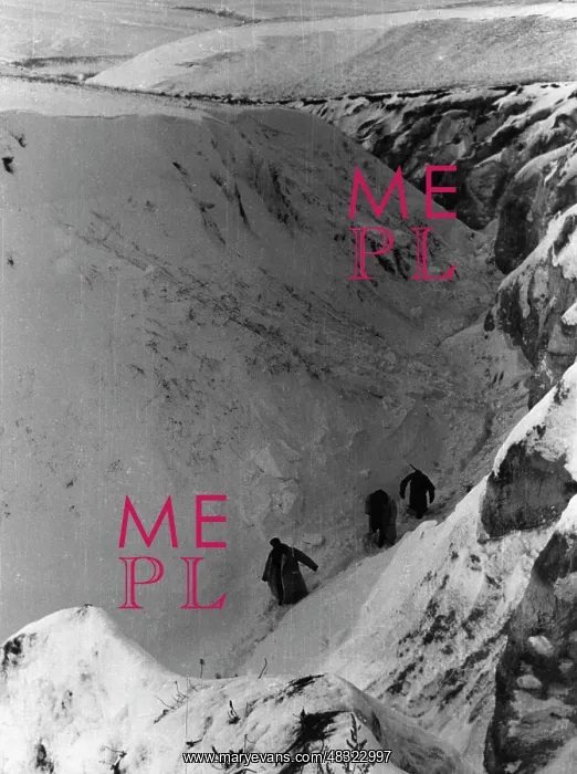  : German mountain troops in the Caucasus, 1942