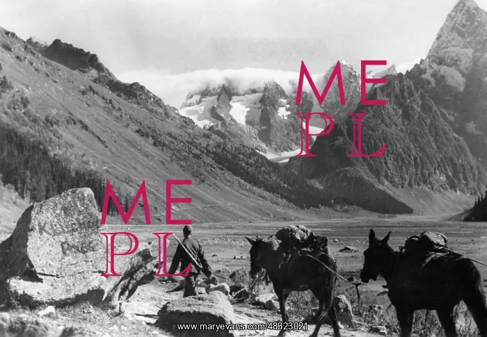 : German mountain troops in the Caucasus, 1942 : German mountain troops in the Caucasus, 1942