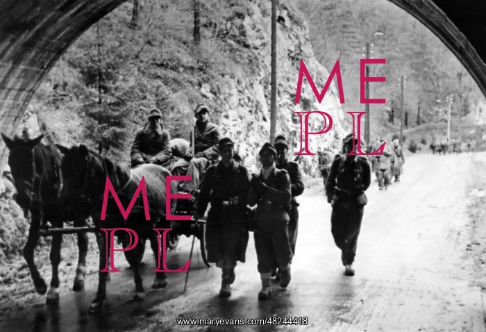 : German Mountain Troops in Hungary, 1944 : German Mountain Troops in Hungary, 1944