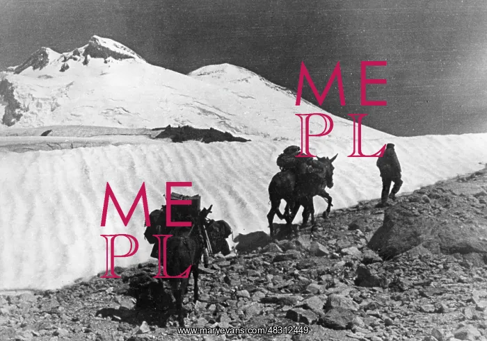  : German mountain troops on Mount Elbrus, 1942