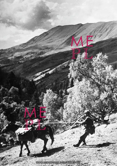 : German mountain troops on Mount Elbrus, 1942 : German mountain troops on Mount Elbrus, 1942