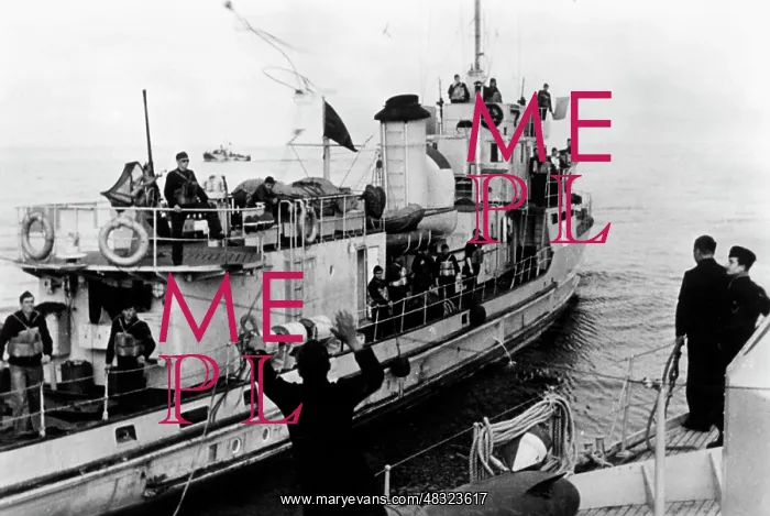 : German Navy in the Black Sea, 1942 : German Navy in the Black Sea, 1942