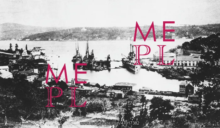 : German Navy in Turkey WWI : German Navy in Turkey WWI