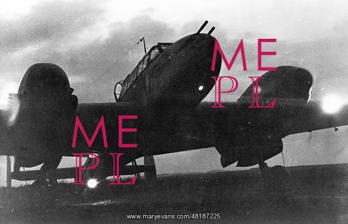 : German night fighter Messerschmitt Me 110 : German night fighter Messerschmitt Me 110