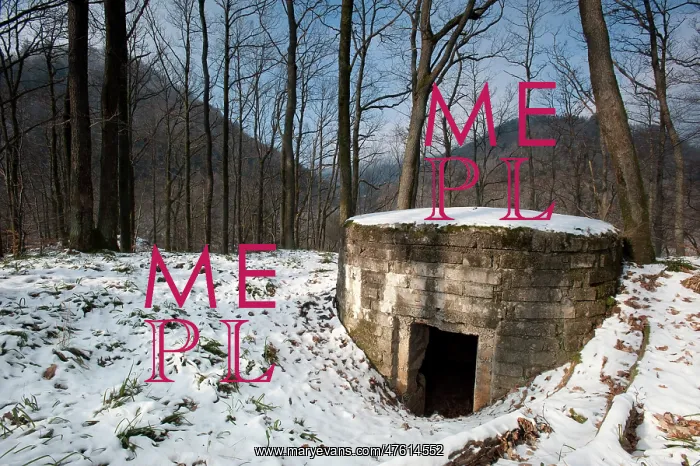 : German observation post : German observation post