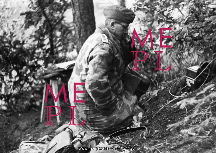 : German observation post in the Vosges, 1944 : German observation post in the Vosges, 1944