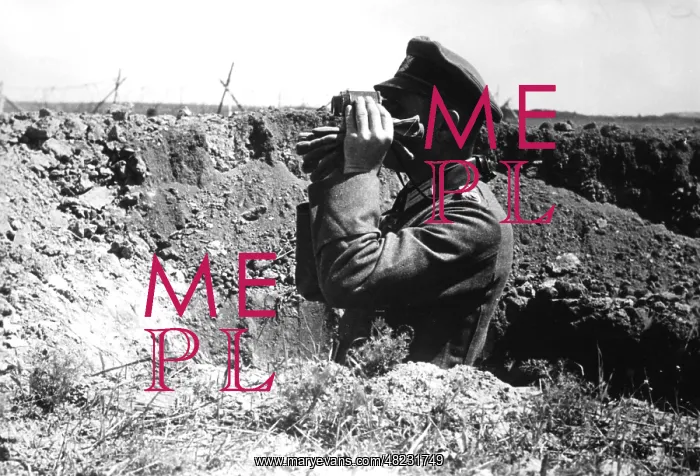 : German officer on the Eastern Front, 1942 : German officer on the Eastern Front, 1942