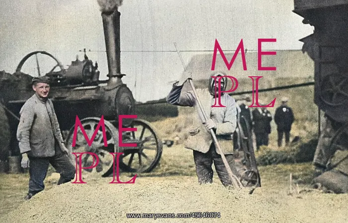 : A German Old Bill : A German Old Bill