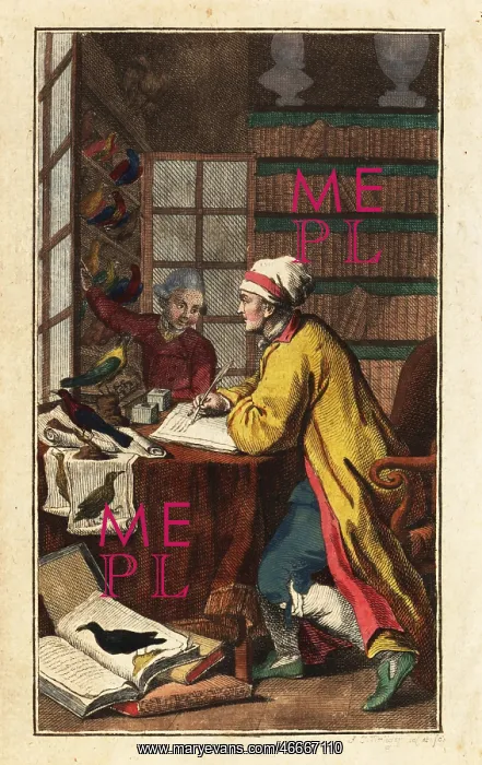 : German ornithologist in his study, 18th century : German ornithologist in his study, 18th century