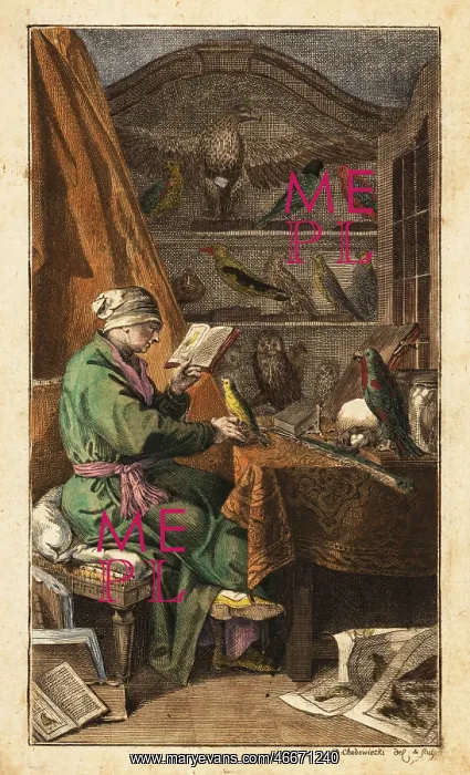 : German ornithologist in his study, 18th century : German ornithologist in his study, 18th century