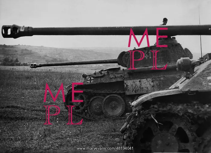 : German Panther Panzer at the Eastern Front, 1944 : German Panther Panzer at the Eastern Front, 1944