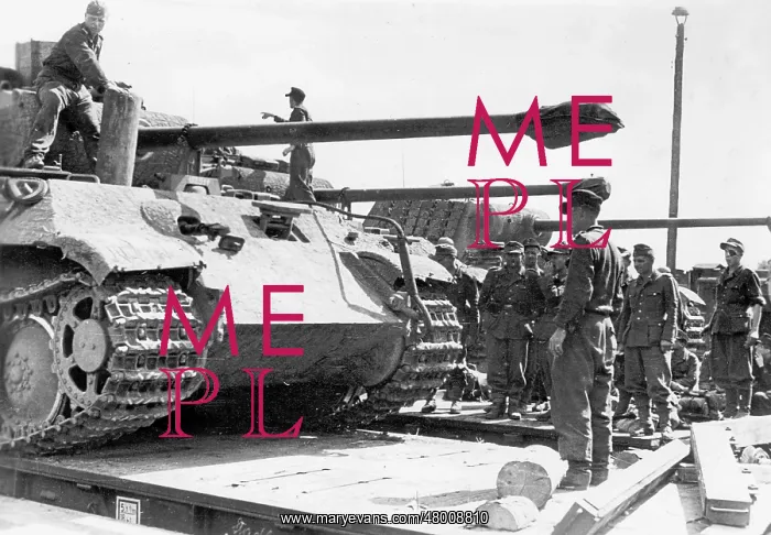 : German Panther tank on the Eastern Front, 1944 : German Panther tank on the Eastern Front, 1944