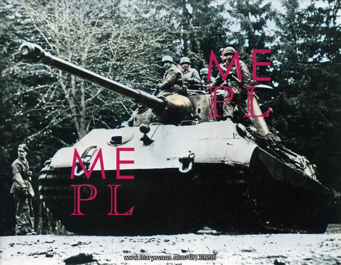 : German Panzer tank, 1944 : German Panzer tank, 1944