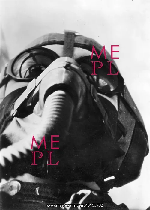 : German pilot, 1943 : German pilot, 1943