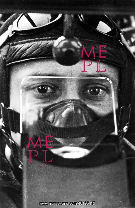 : German Pilot in his Plane, 1944 : German Pilot in his Plane, 1944