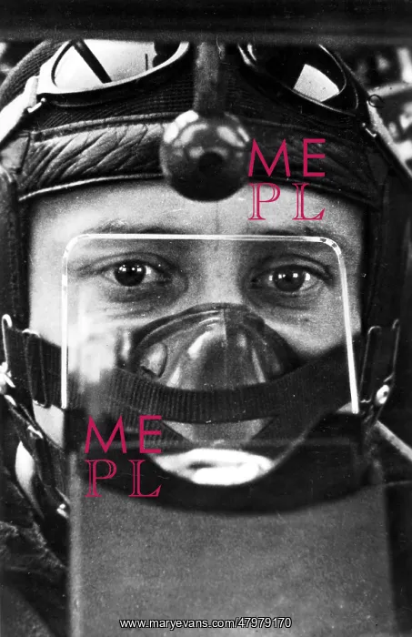 : German Pilot in his Plane : German Pilot in his Plane