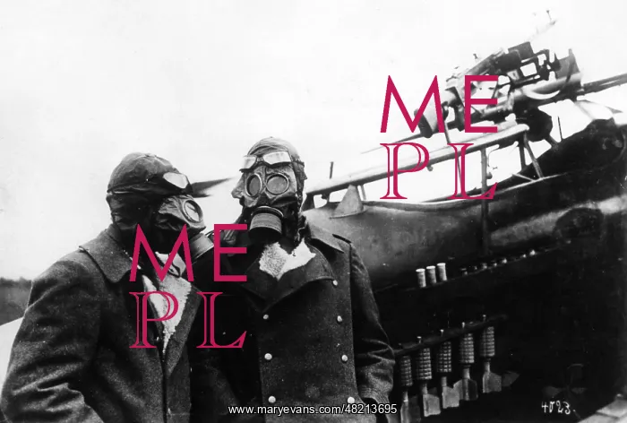 : German pilots in World War I, 1916 : German pilots in World War I, 1916