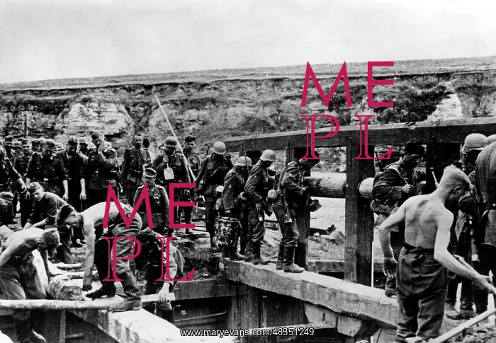 : German pioneers building a bridge on the Eastern front, 1942 : German pioneers building a bridge on the Eastern front, 1942