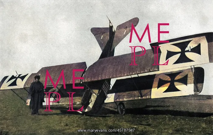 : German plane brought down in Russia, WW1 : German plane brought down in Russia, WW1