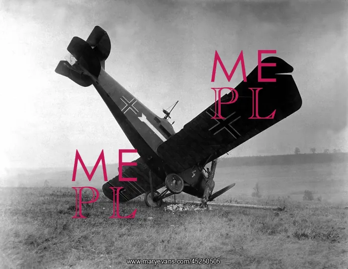 : German plane shot down in the Argonne by American : German plane shot down in the Argonne by American