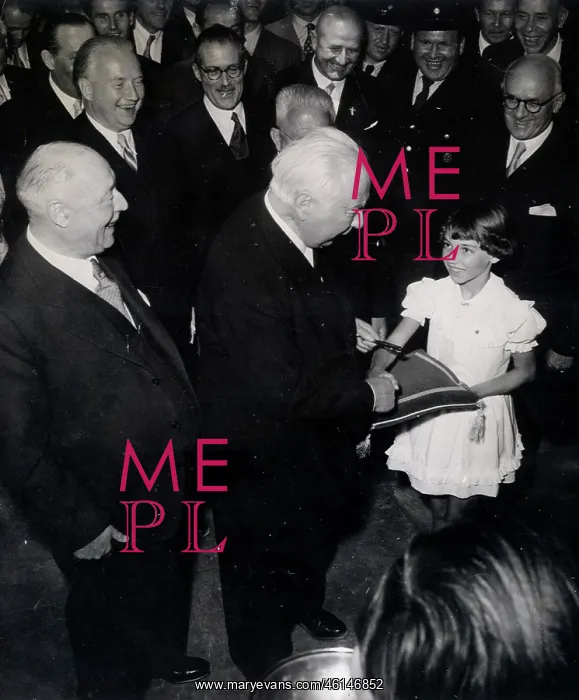 : German Politician Herr Seebohm : German Politician Herr Seebohm