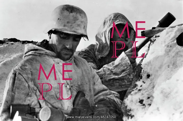 : German position on the Eastern Front, 1944 : German position on the Eastern Front, 1944