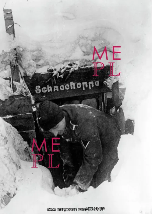 : German position on the Eastern Front in winter, 1942 : German position on the Eastern Front in winter, 1942