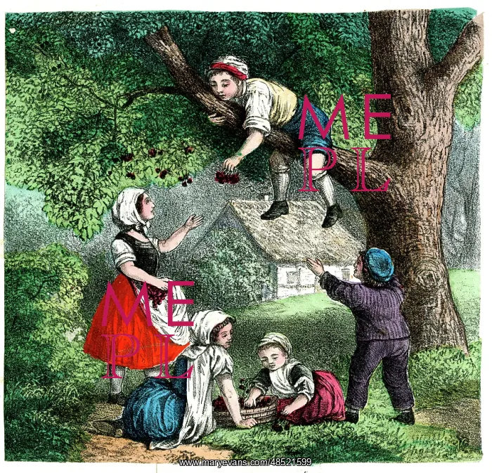 : German print - Four Seasons - Summer : German print - Four Seasons - Summer
