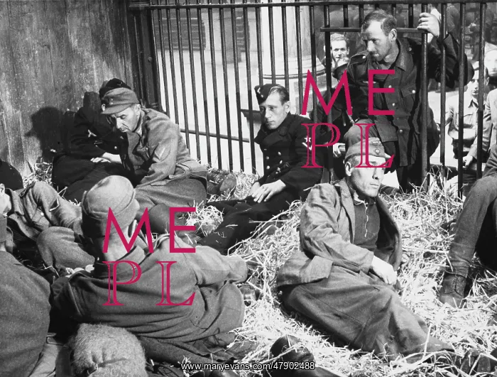 : German prisoners WWII : German prisoners WWII