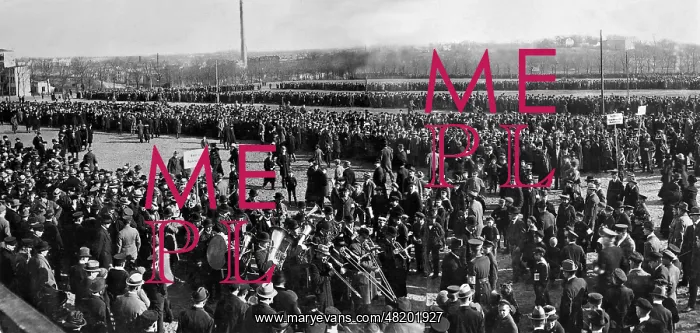 : German rally for the referendum in Schleswig, 1920 : German rally for the referendum in Schleswig, 1920