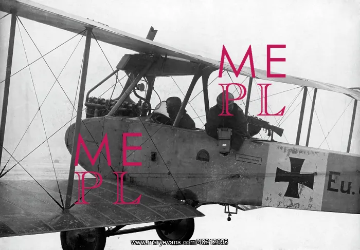 : German reconaissance plane, 1917 : German reconaissance plane, 1917