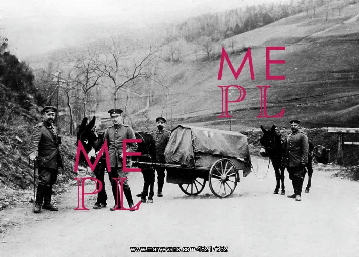 : German Red cross in World War I : German Red cross in World War I