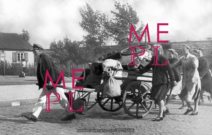 : German refugees on the Eastern front, 1945 : German refugees on the Eastern front, 1945