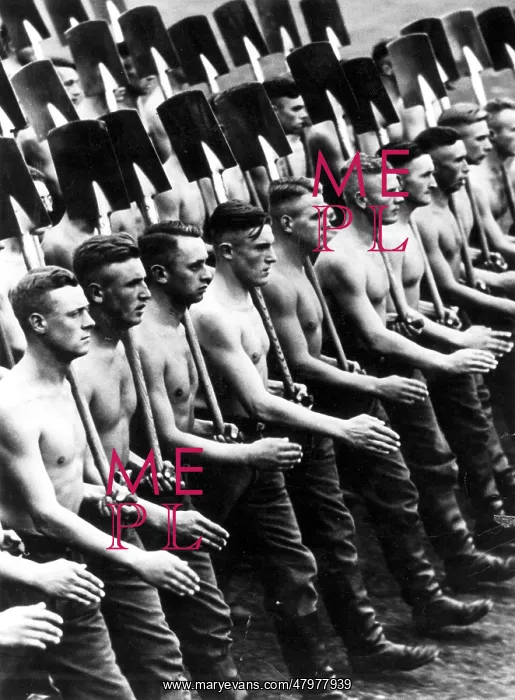 : German Reich Labour Service : German Reich Labour Service