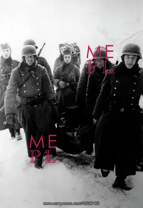 : German retreat, 1941 : German retreat, 1941