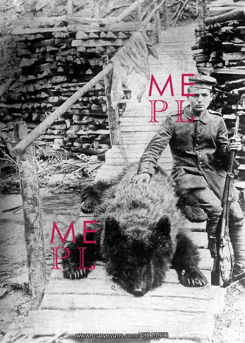 : German rifleman with a slain bear, 1917 : German rifleman with a slain bear, 1917