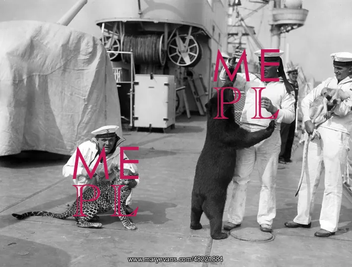 : German sailors with exotic animals, 1934 : German sailors with exotic animals, 1934