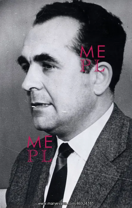 : German Salesman Heinz Pohlmann : German Salesman Heinz Pohlmann
