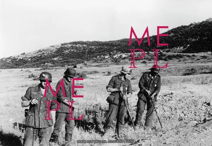 : German sappers clearing mines, 1942 : German sappers clearing mines, 1942