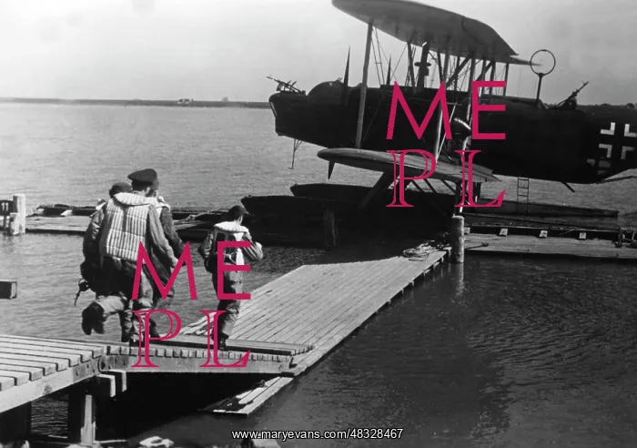 : German sea rescue plane, 1942 : German sea rescue plane, 1942
