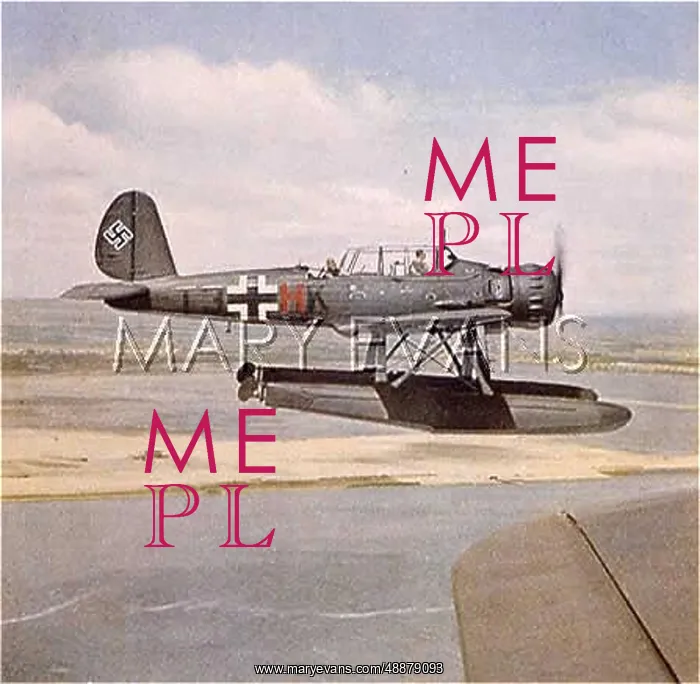 : GERMAN SEAPLANE 1940 : GERMAN SEAPLANE 1940