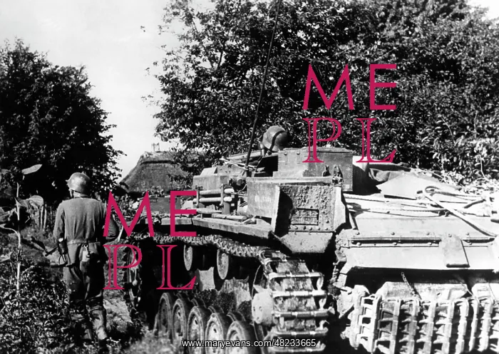 : German self-propelled gun on the Eastern Front, 1941 : German self-propelled gun on the Eastern Front, 1941