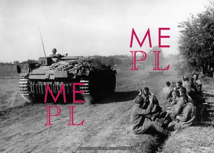 : German self-propelled gun on the Eastern Front, 1941 : German self-propelled gun on the Eastern Front, 1941
