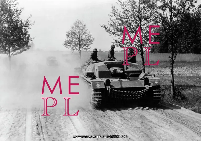 : German self-propelled gun on the Eastern Front, 1941 : German self-propelled gun on the Eastern Front, 1941