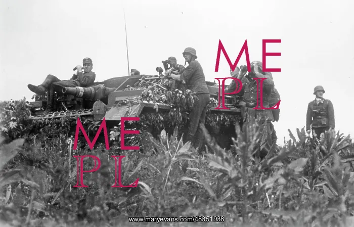 : German self-propelled gun on the Eastern Front, 1942 : German self-propelled gun on the Eastern Front, 1942