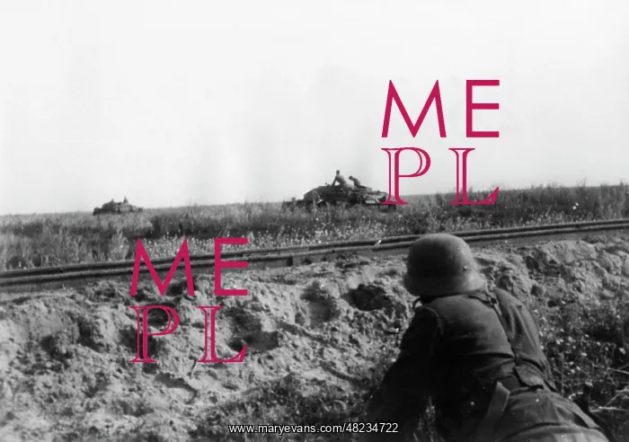 : German self-propelled guns on the Eastern Front, 1941 : German self-propelled guns on the Eastern Front, 1941
