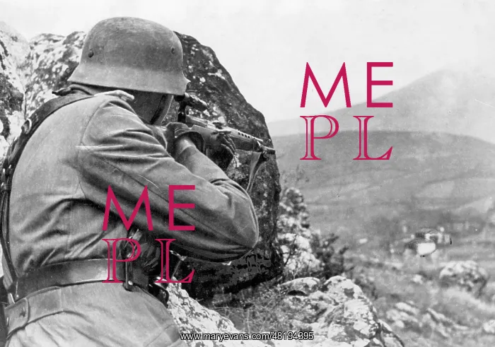 : German sharpshooter, 1942 : German sharpshooter, 1942